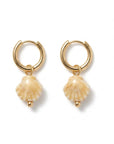 Gold & Natural Porcelain Seashell Earrings for women