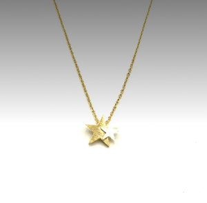 Double Star Mixed Metal Necklace